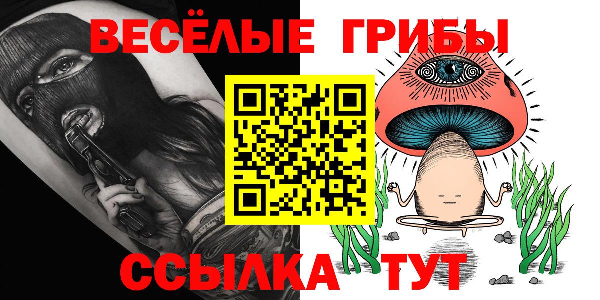 Евпатория  Псилоцибиновые грибы GOLDEN TEACHER  Вход с VPN 